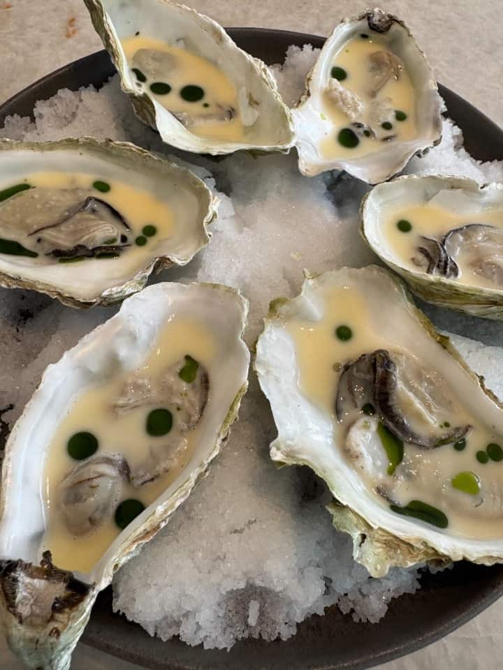 Verse oesters met crème sauce en groene kruidenolie op ijs